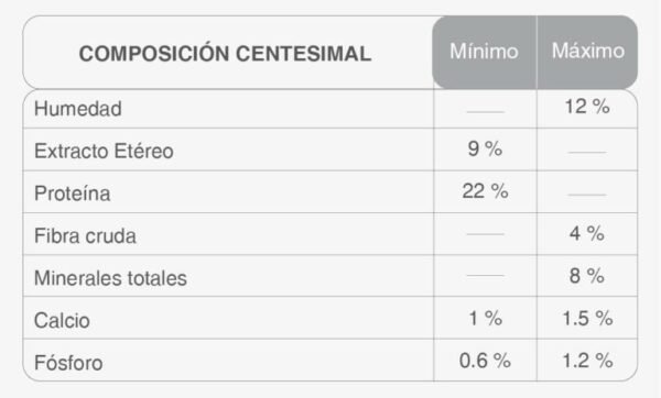 Kongo Perro Adulto Raza Mediana y Grande x 21kg - Imagen 2
